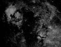 Northern Cross Nebulas in Ha